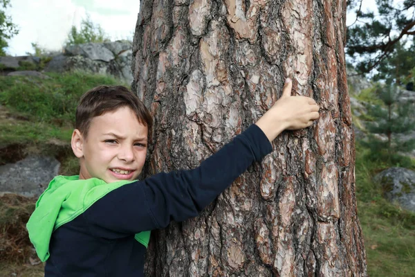 Child Hugging Pine Tree Forest Karelia — Stock Photo, Image