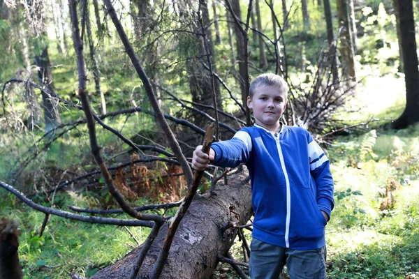 Portret Dziecka Sosnowym Lesie Karelia — Zdjęcie stockowe