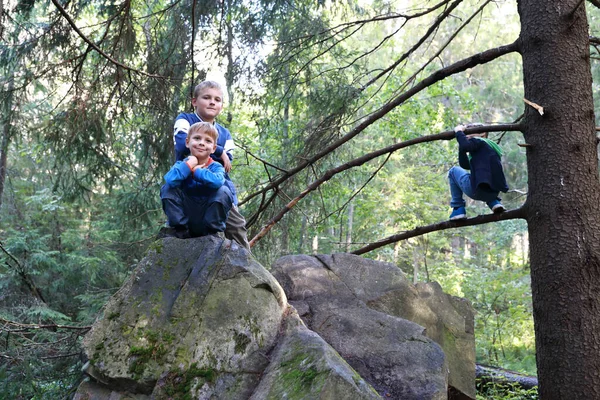 Tres Chicos Jugando Bosque Pinos Karelia — Foto de Stock