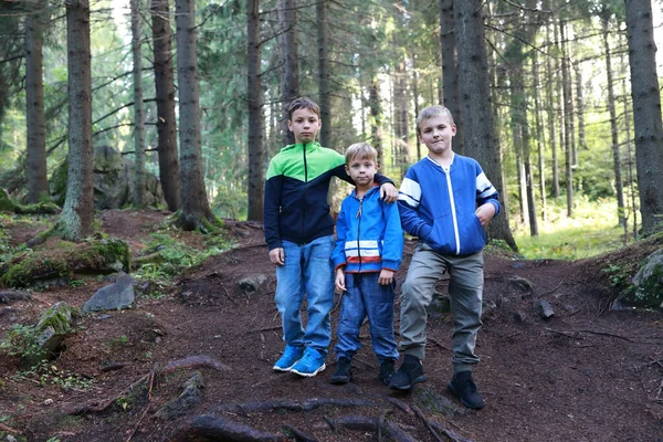 Retrato Tres Hermanos Bosque Pinos Karelia — Foto de Stock