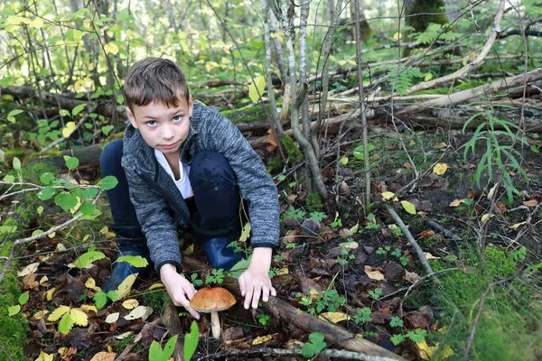 Fiú Vágás Gomba Erdőben Oroszország Karelia — Stock Fotó
