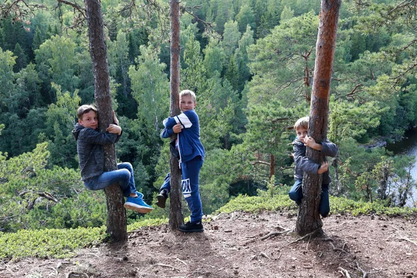 Les Enfants Embrassent Les Arbres Sur Île Valaam Été — Photo