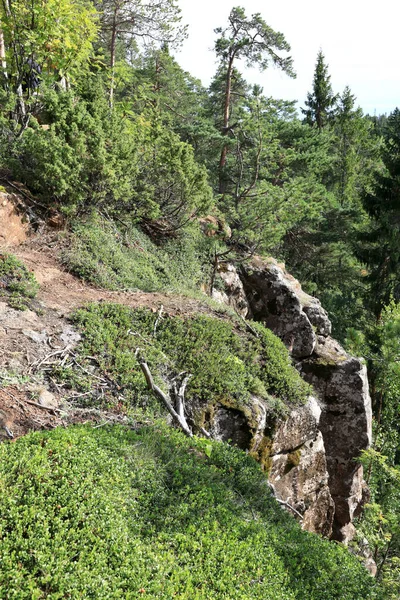 Vue Colline Sur Île Valaam Russie — Photo