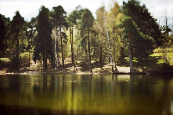 Folyó Partján Fák Természet — Stock Fotó