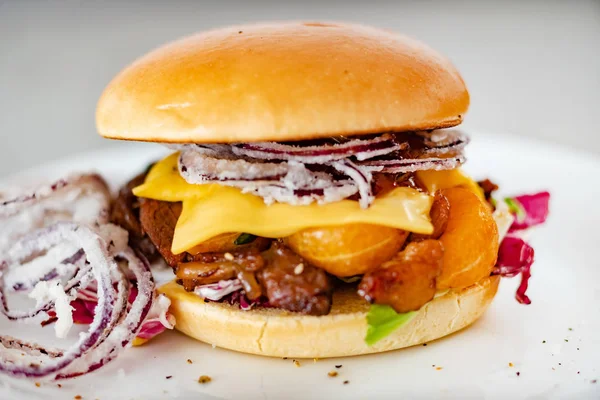 Burger Duck Ile Yakın Çekim — Stok fotoğraf