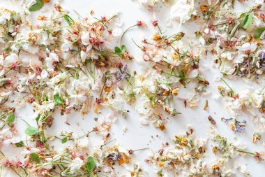 kurutulmuş elma ve kiraz çiçekleri, kapat