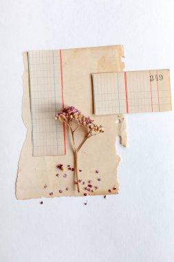 Vintage eski kağıt beyaz zemin üzerine