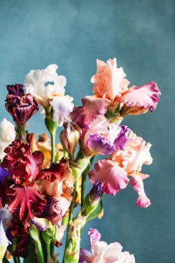 renkli süsen demet, yakın çekim