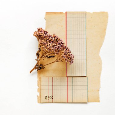 Vintage eski kağıt, yakın