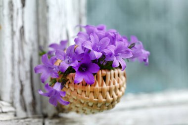 BlueBell çiçek sepeti, yakın çekim