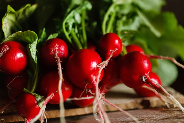 Genç turp yaprakları ile yakın çekim