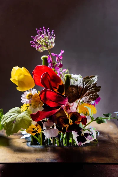 Leuke Lentebloemen Close — Stockfoto