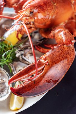 lezzetli pişmiş ıstakoz yakın çekim