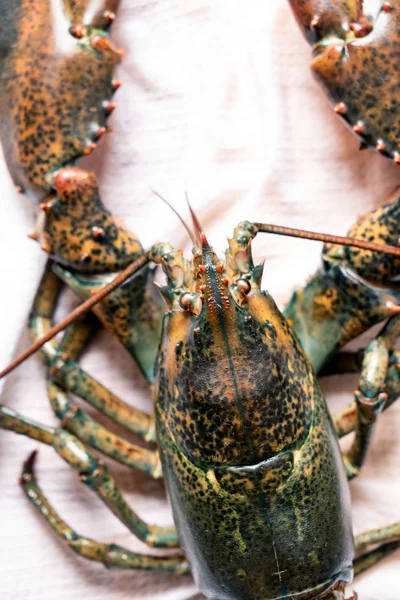 tablo, ham ıstakoz yakın çekim