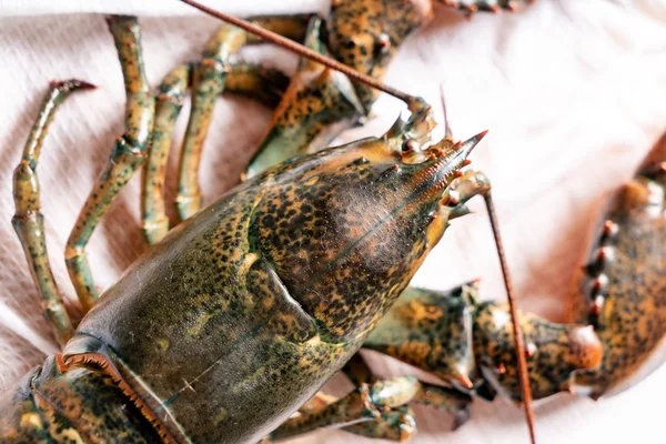 tablo, ham ıstakoz yakın çekim