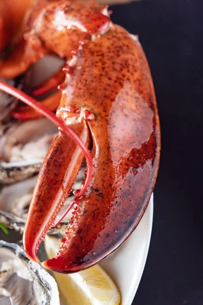 lezzetli pişmiş ıstakoz yakın çekim