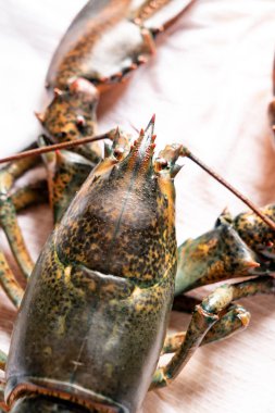 tablo, ham ıstakoz yakın çekim