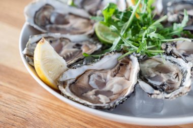 İstiridye on Ice, yakın çekim