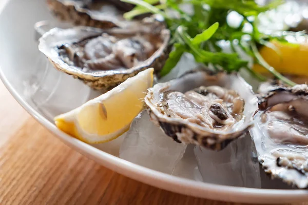 Oyster Het Ijs Close — Stockfoto