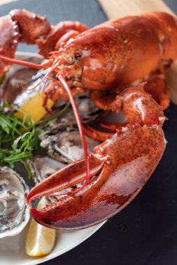 lezzetli pişmiş ıstakoz yakın çekim