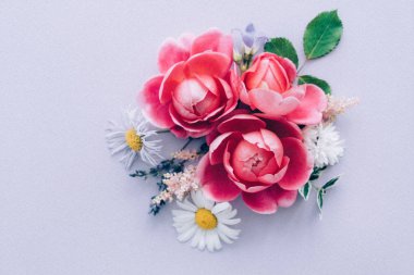 çiçek ve yaprakları yaz, yakın çekim