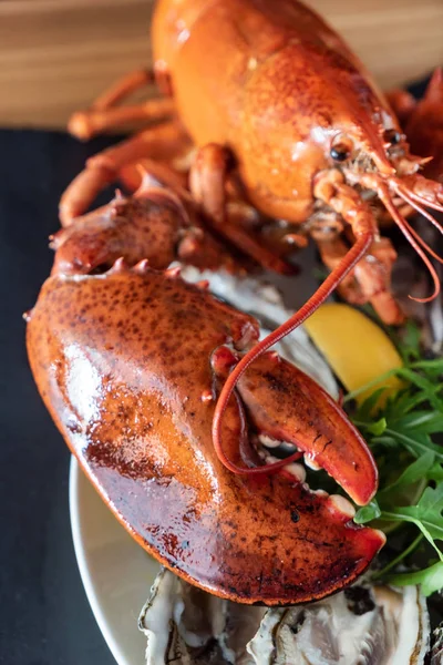 Delicious Cooked Lobster Close — Stock Photo, Image