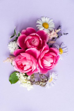 güzel yaz çiçek, yakın çekim