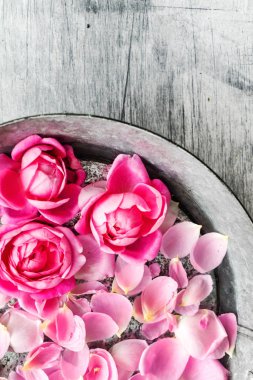 Gül kaplıcası, kapat.