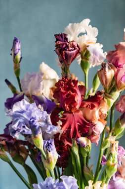 renkli süsen demet, yakın çekim