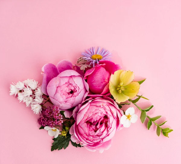 güzel yaz çiçek, yakın çekim