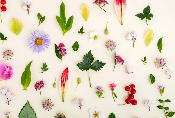 çiçek ve yaprakları yaz, yakın çekim