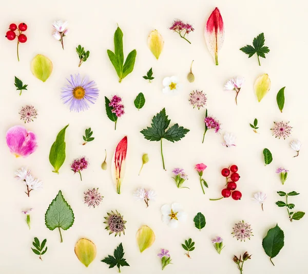 çiçek ve yaprakları yaz, yakın çekim