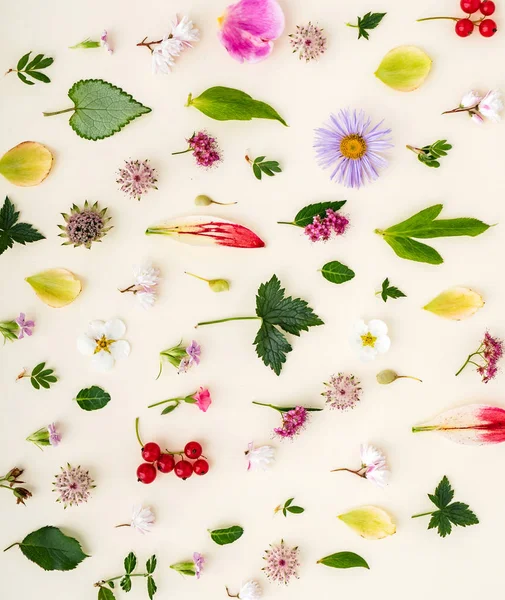 çiçek ve yaprakları yaz, yakın çekim