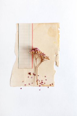 Vintage eski kağıt, yakın