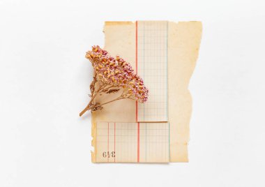 Vintage eski kağıt, yakın