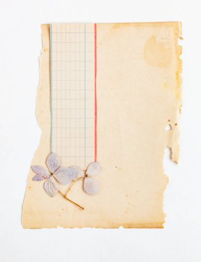 Vintage eski kağıt, yakın