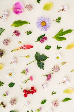 çiçek ve yaprakları yaz, yakın çekim