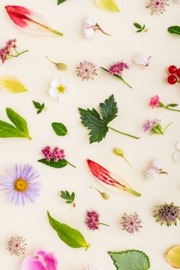 çiçek ve yaprakları yaz, yakın çekim