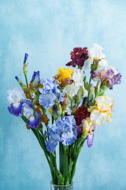 renkli süsen demet, yakın çekim