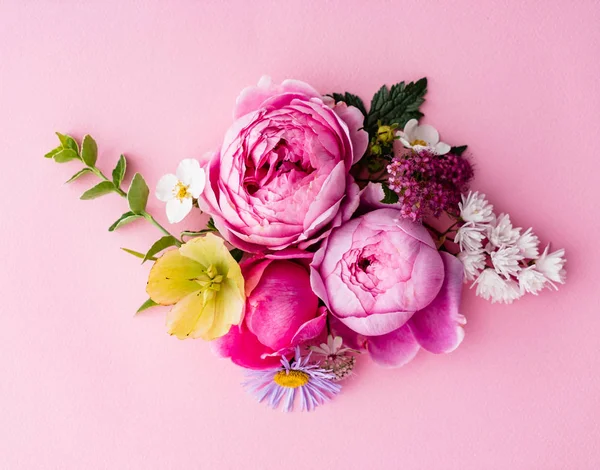 Trevlig Sommarblommor Närbild — Stockfoto