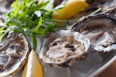 buz üzerinde istiridye, yakın çekim