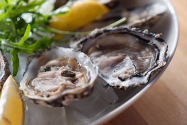 buz üzerinde istiridye, yakın çekim