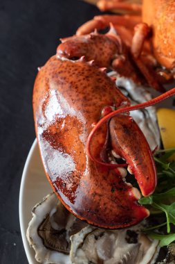 lezzetli pişmiş ıstakoz portre