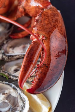 lezzetli pişmiş ıstakoz portre