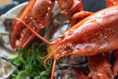 lezzetli pişmiş ıstakoz yakın çekim