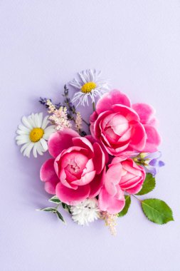 güzel yaz çiçek, yakın çekim