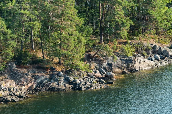 Vacker Natur Sverige Resor — Stockfoto
