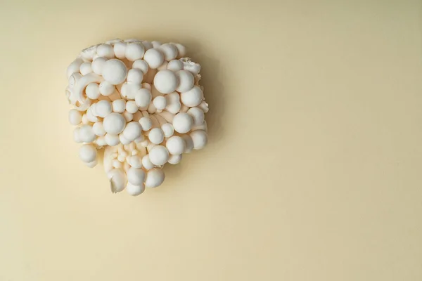 Weiße Enoki Pilze Aus Nächster Nähe — Stockfoto