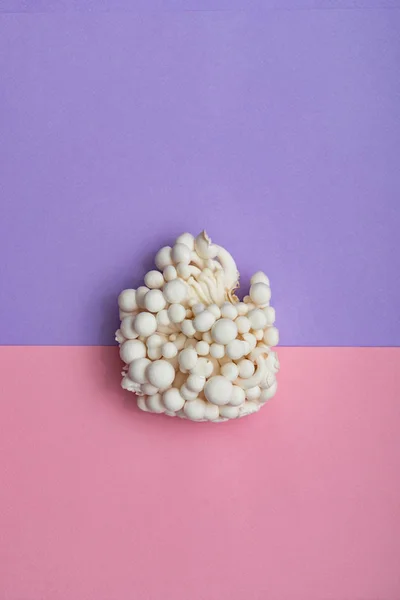 白色金针蘑菇 — 图库照片