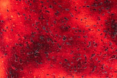 çilek meyve kırmızı sulu arka plan